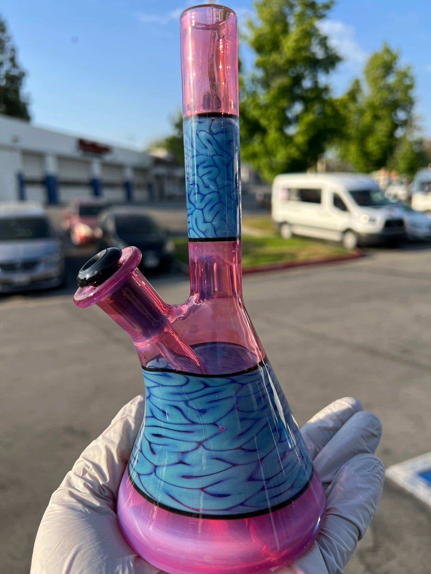 Algae Purple Lollipop Detachable Stem Tube